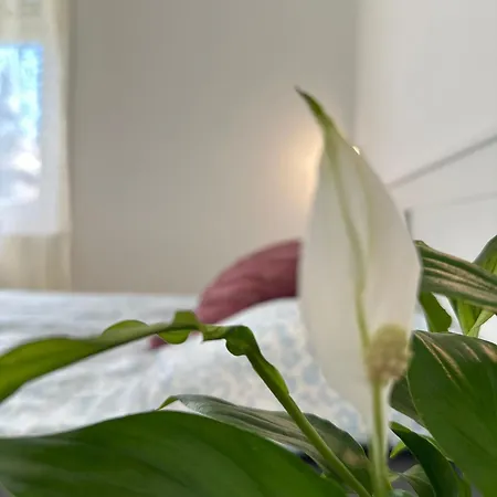 Kings Corner By Downtown Apartamento *